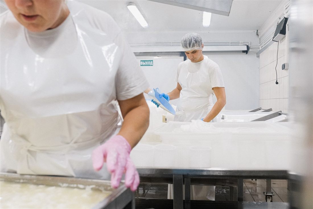 Food production staff working in a hygienic factory environment